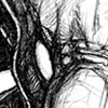 Draconis Albionensis