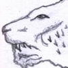 Drakolev...Saphira...