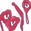 Bloody