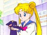 Sailor Moon